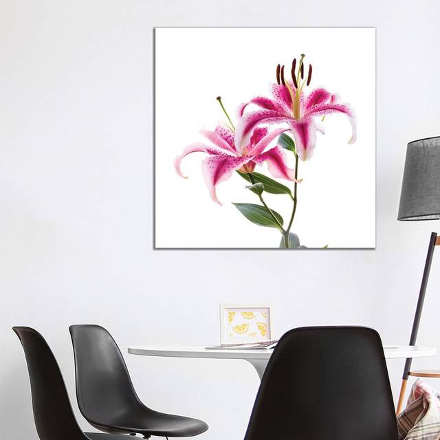 Close-up of Stargazer Lily Against White Background - Wrapped Canvas Photograph (93.98 cm H x 93.98 cm W x 3.175 cm D)