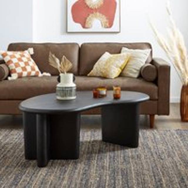 Ludo Kidney Shaped Coffee Table, Mango Wood - Black
