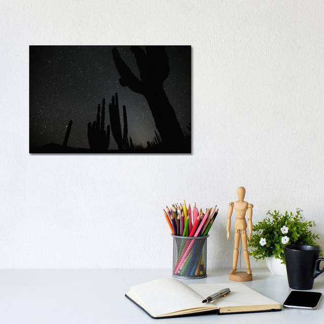 Cardon Cacti By Night With Stars, El Vizcaino Biosphere Reserve, Mexico by - Wrapped Canvas Photograph (20.32cm H x 30.48cm W x 1.9cm D)