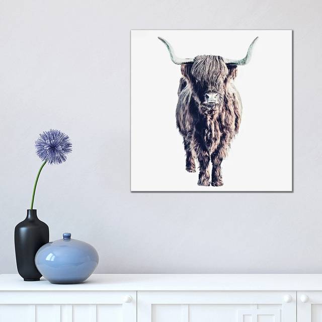 Highland Cattle Colin White Square by Monika Strigel - Wrapped Canvas Graphic Art (45.72cm H x 45.72cm Wx 1.91cm D)