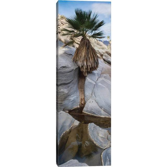 Indian Canyons, Palm Springs, California by Zandria Muench Beraldo - Wrapped Canvas Photograph (91.44cm H x 30.48cm W x 1.91cm D)