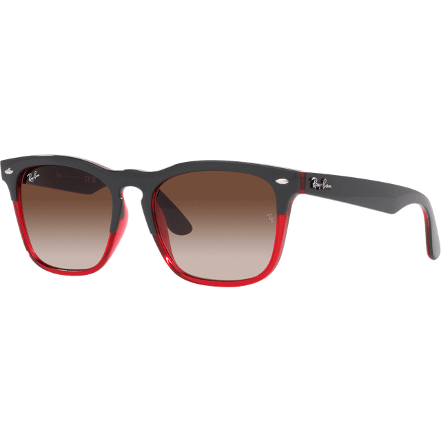 Ray-Ban RB 4487 663113