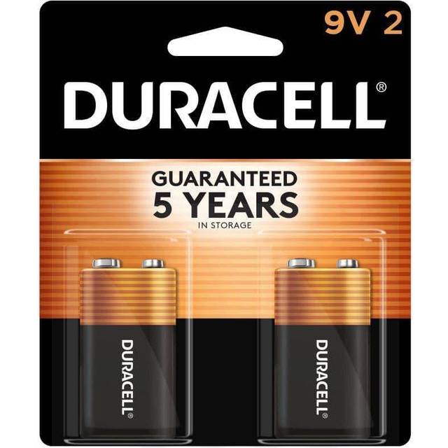Alkaline Batteries, 9V, 2-Pk. -MN1604B2Z