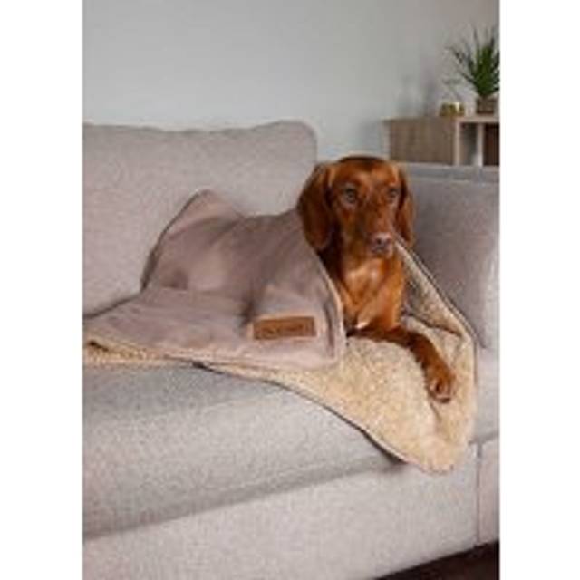 Scruffs Snuggle Blanket - Desert Sand, Brown