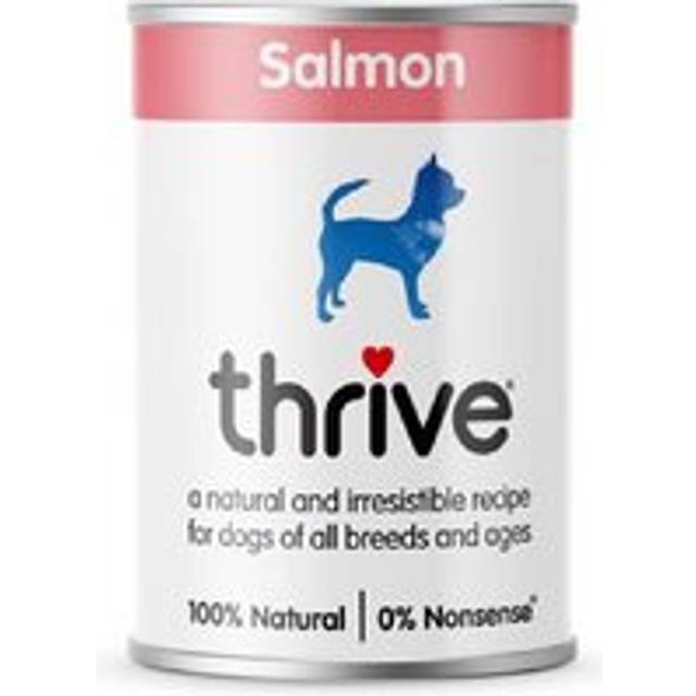 Salmon Complete Wet Dog Food