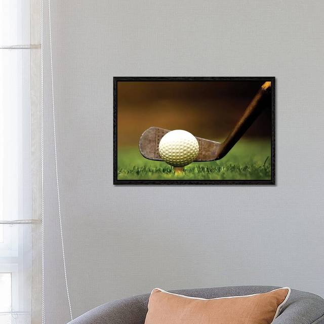 Iron Gold Grass - Photograph Print on Canvas - Black Framed (66.04 cm H x 45.72 cm W)