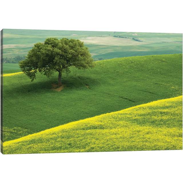 Europe, Italy, Tuscany. Hilly Landscape. by Jaynes Gallery - Wrapped Canvas Art Prints (30.48cm H x 45.72cm W)