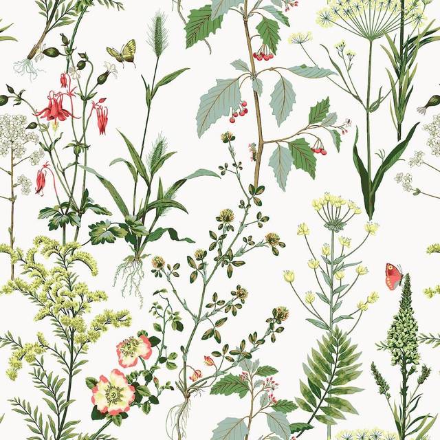 Surface Style - Peel and Stick Wallpaper  Nature Lover Wallpaper for Bedroom  Dorm Room Essentials  Self Adhesive  Vinyl  30.75 Sq Ft Coverage (Berksh
