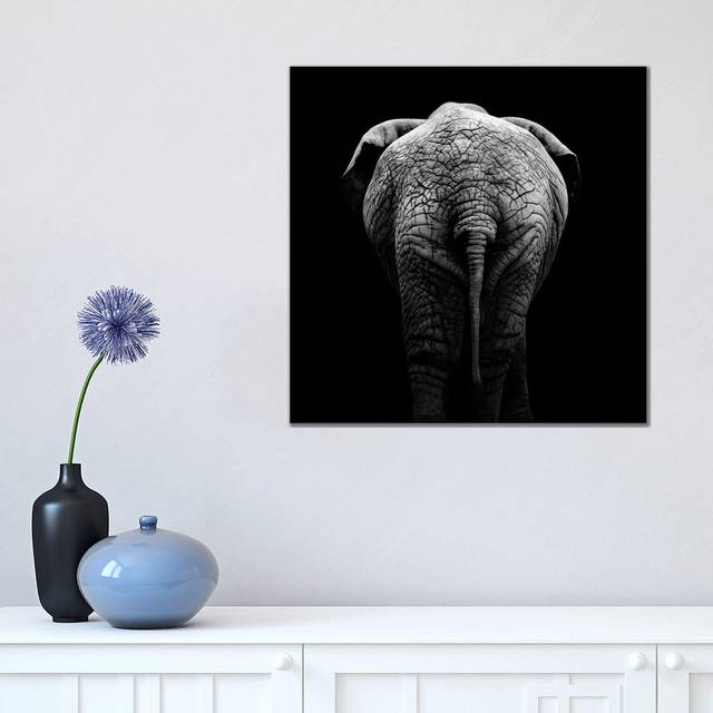 Elephant in Black & White II by Lukas Holas - Wrapped Canvas Art Prints (45.72cm H x 45.72cm W)