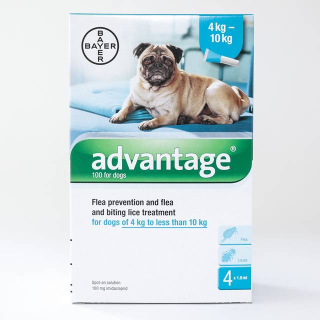 Advantage 100 for Dogs 4 - 10kg - Pack of 4 Pipettes