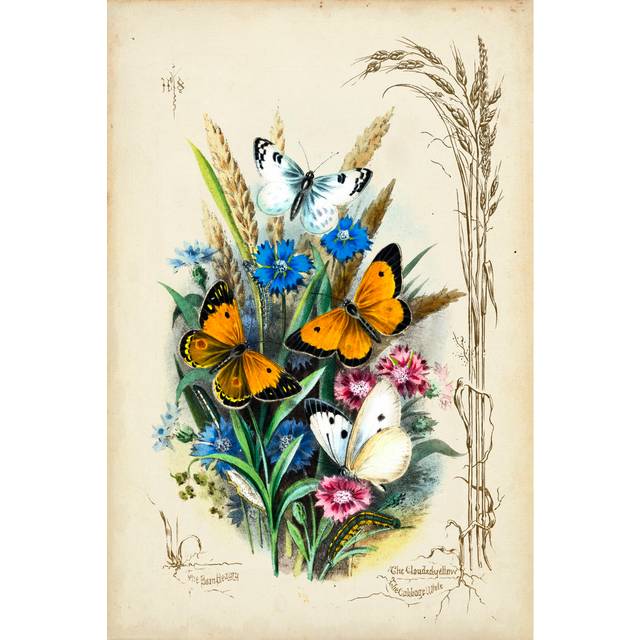 Victorian Butterfly Garden I - Wrapped Canvas Art Prints (91cm H x 61cm W x 3.8cm D)