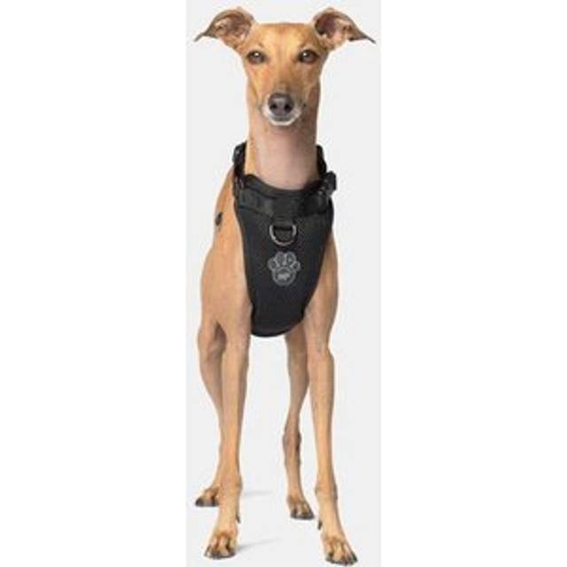 Canada Pooch Black Everything Mesh Dog Harness  Medium