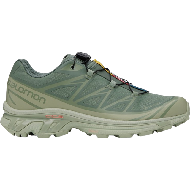 Salomon XT-6 GTX - Desert Sage/Lily Pad/Laurel Wreath • Price »