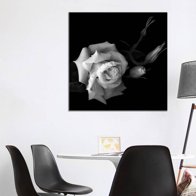 Lisianthus, B&W by Magda Indigo - Wrapped Canvas Graphic Art (45.72cm H x 45.72cm W x 1.905cm D)