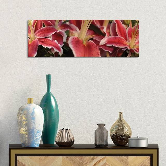 Close-Up Of Stargazer Lily Flowers - Wrapped Canvas Panoramic Photograph (30.48 cm H x 91.44 cm W x 1.91 cm D)