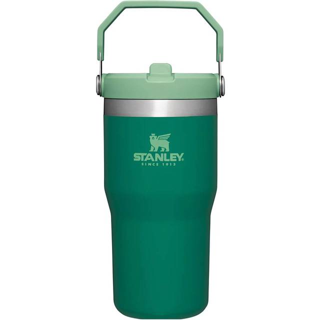 Stanley IceFlow Stainless Steel Tumbler - Vacuum Insulated Water Bottle for Home  Office or Car Reusable Cup with Straw Leak Resistant Flip Cold for 1