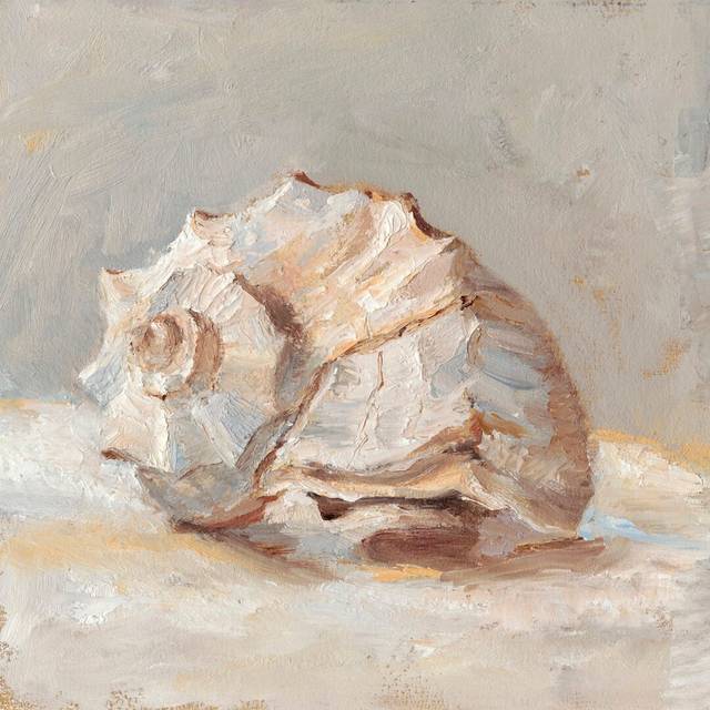 Impressionist Shell Study II by Ethan Harper - Wrapped Canvas Art Prints (76cm H x 76cm W x 3.8cm D)