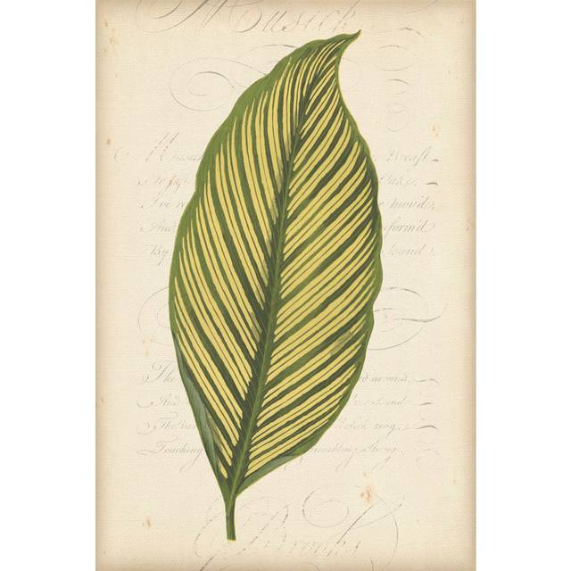Textured Leaf Study IV - Wrapped Canvas Painting (91cm H x 61cm W)