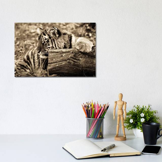 Tiger Baby by Goran Anastasovski - Wrapped Canvas Photograph (20.32cm H x 30.48cm W x 1.905cm D)