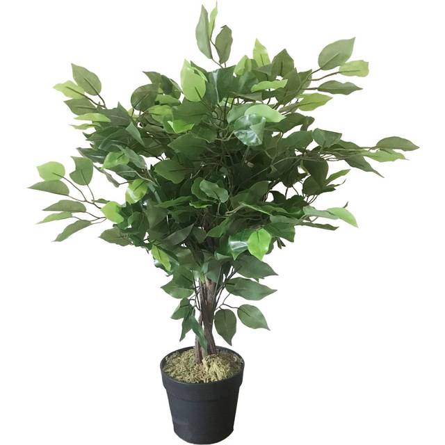 60cm Artificial Ficus Tree / Plant - Large Bushy Shape
