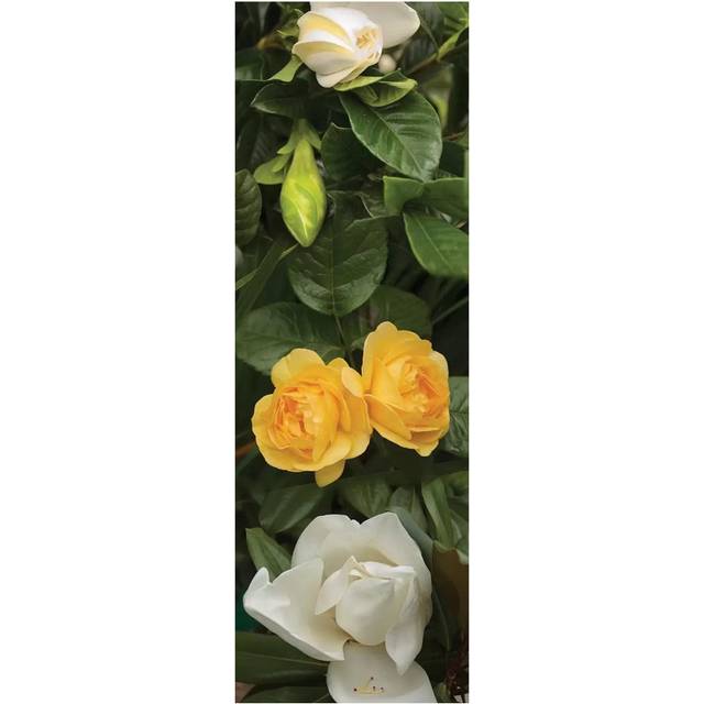 Close-Up Of White Poppies With Yellow Roses - Wrapped Canvas Panoramic Photograph (182.88 cm H x 60.96 cm W)