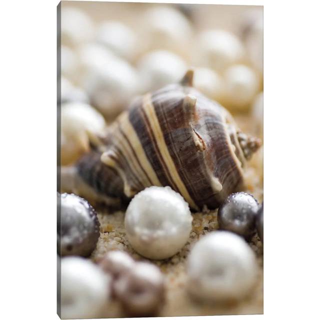 Sea Jewels II by Boyce Watt - Wrapped Canvas Photograph (45.72cm H X 30.48cm W)