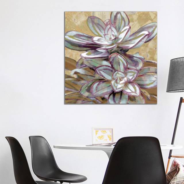 Succulent IV by Lindsay Benson - Wrapped Canvas Painting (93.98cm H x 93.98cm W x 1.91cm D)