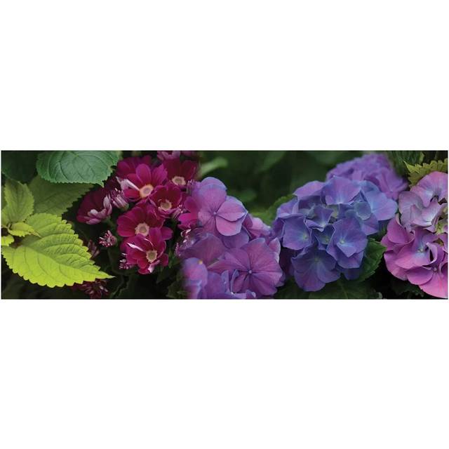 Close-Up of Daisy and Hydrangeas Flowers - Wrapped Canvas Panoramic Photograph (182.88 cm H x 60.96 cm W)