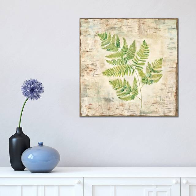 Birch Bark Ferns II (45.72cm H x 45.72cm W x 1.91cm D)