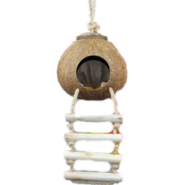 Coconut Shell Bird Nest Parrot Coconut Pet Supplies Toys(Polishing Coconut Shell )