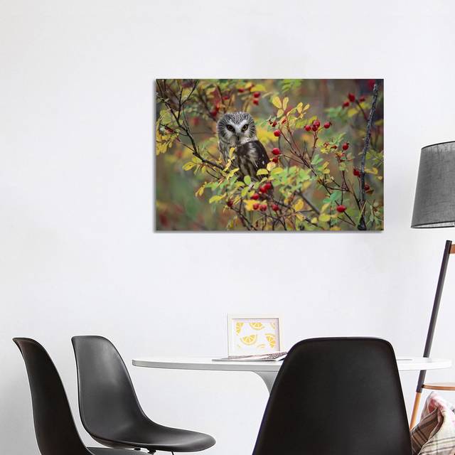 Northern Saw-Whet Owl Perching in a Wild Rose Bush, British Columbia, Canada II by Tim Fitzharris - Wrapped Canvas Photograph (101.6 cm H x 66.04 cm W x 1.91 cm D)