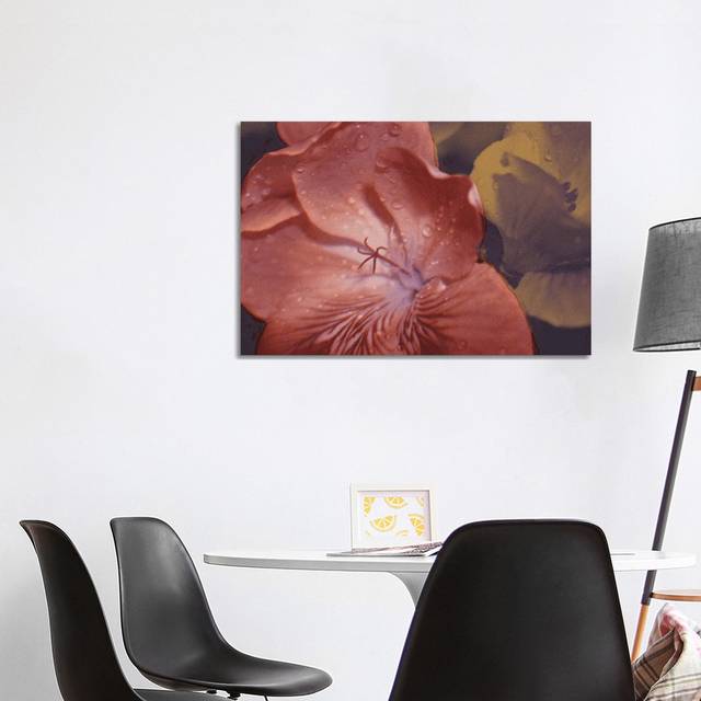 Garden Geraniums II by Jacob Green - Wrapped Canvas Art Prints (66.04cm H x 101.60cm W)