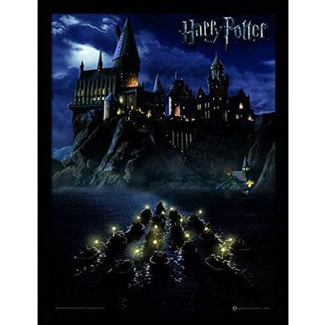 Harry Potter (Hogwarts School) Framed 30 x 40cm Print