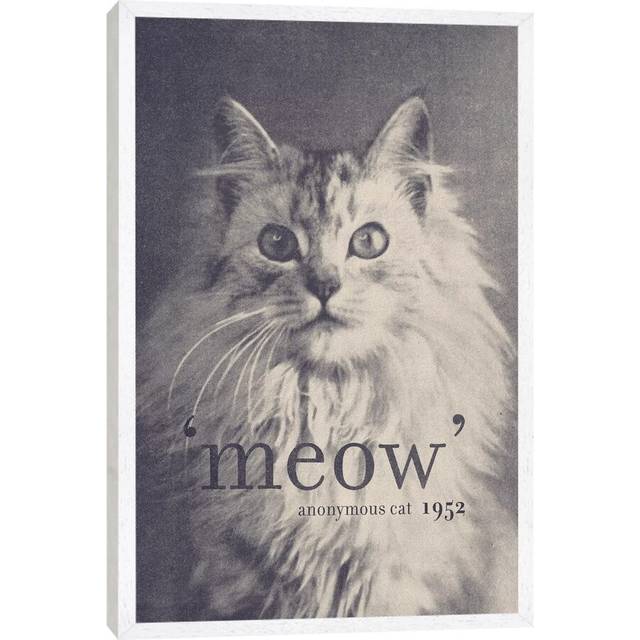 &#39;Famous Quotes (Cat)&#39; - Floater Frame Graphic Art Print on Canvas - White Framed (66.04cm H x 45.72cm W x 3.81cm D)