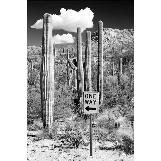 Cactus One Way - Wrapped Canvas Photograph (20.32 cm H x 30.48 cm W)