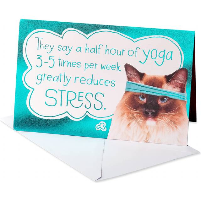 American Greetings Funny Birthday Card for Her (So Does Ice Cream)