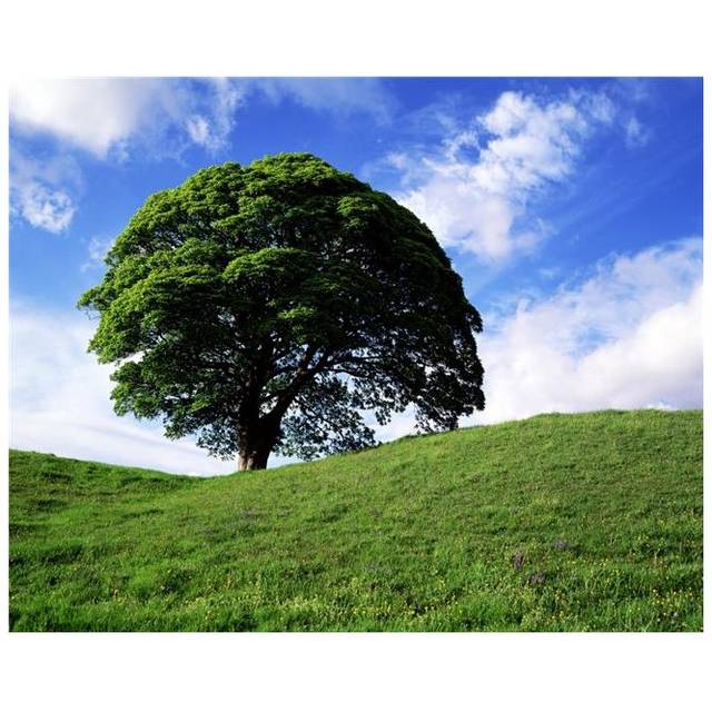 Giants Ring Belfast Ireland Poster Print by The Irish Image Collection, 32 x 24 - Large