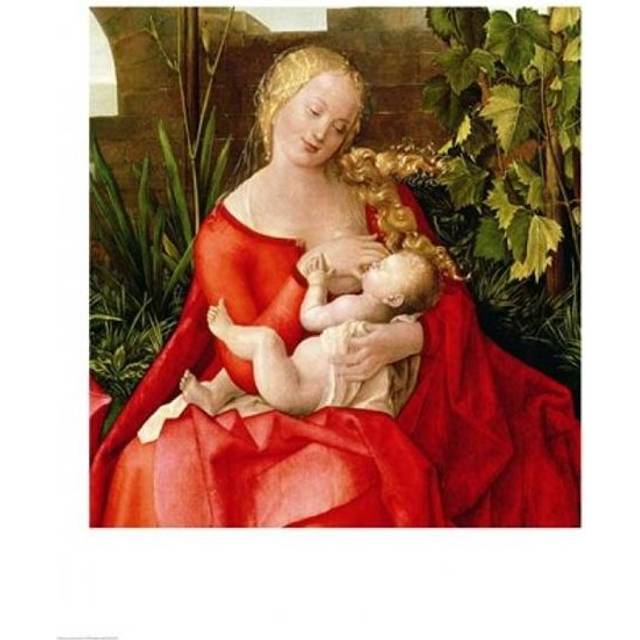 Virgin & Child Madonna with The Iris 1508 Poster Print by Albrecht Durer - 18 x 24 in.