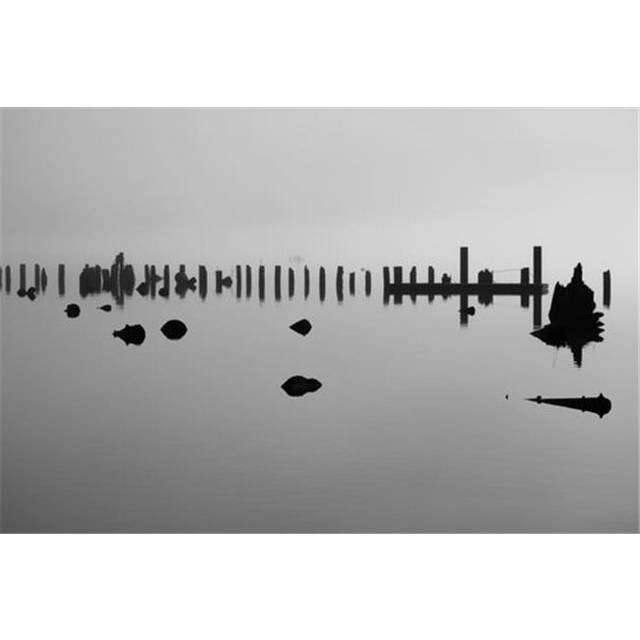 Log Pilings Silhouetted Against Foggy Lake - Bellingham Washington United States of America Poster Print by Blake Kent, 19 x 12