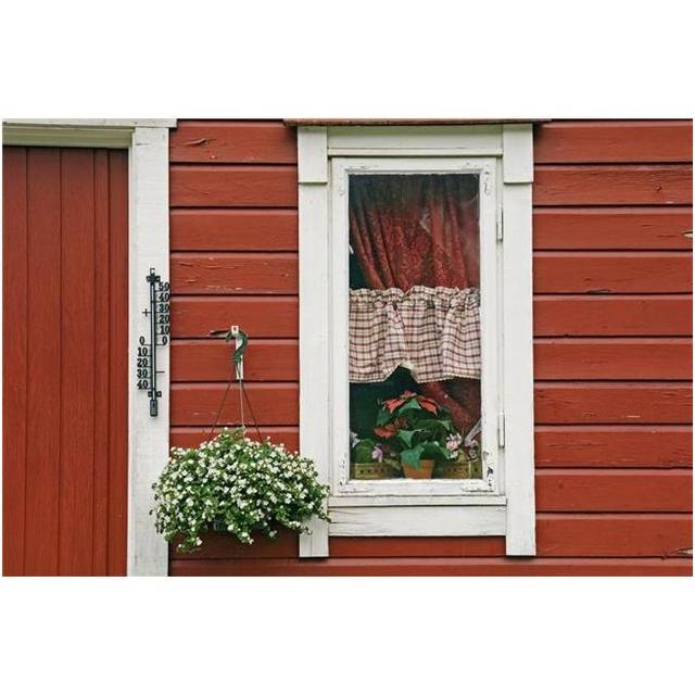 Red Wooden House with Plants In & By Window, Close Up Poster Print, 19 x 12