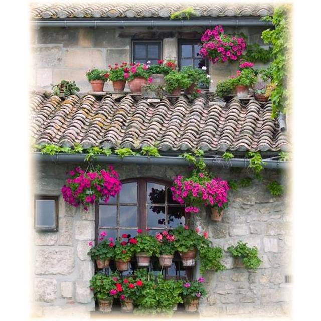 Flower Pots in Windows in Arles Provence France Poster Print by Carson Ganci, 24 x 30 - Large