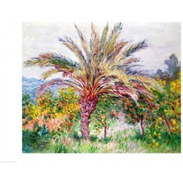 Palm Tree at Bordighera Poster Print by Claude Monet - 24 x 18 in.