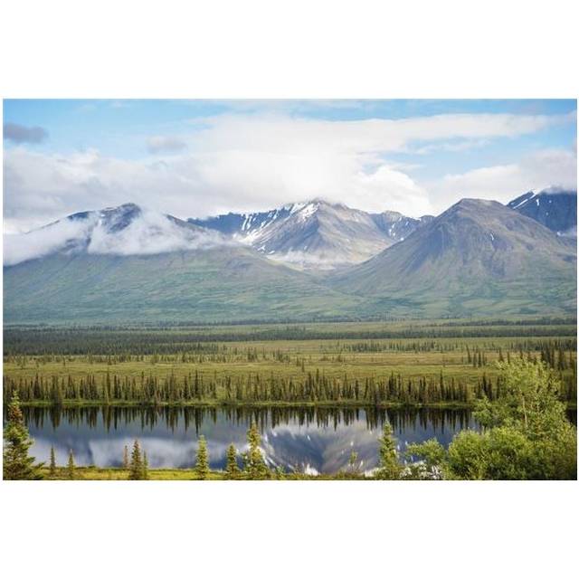 Scenic View Inside Denali National Park & Preserve Interior Alaska Summer Poster Print - 19 x 12 in.