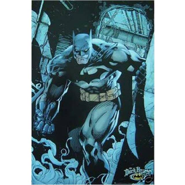 629-24x36-MV Batman Dark Night Poster