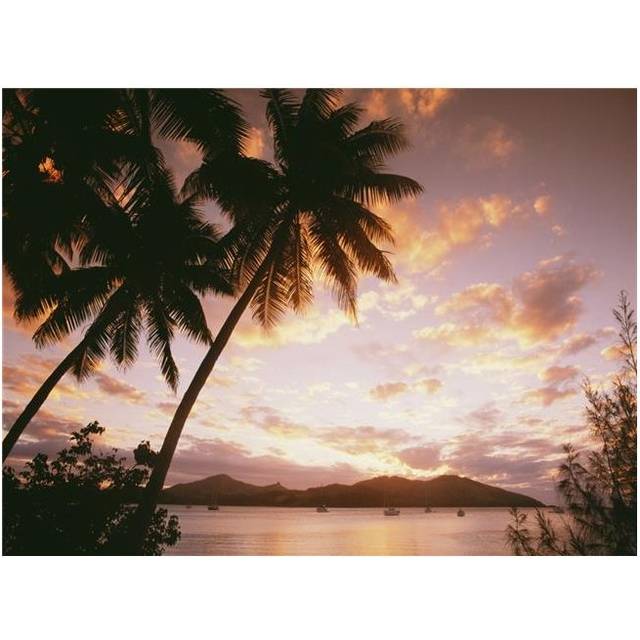 Palm Trees On Tropical Beach At Sunset, Nanuya Lai Lai Poster Print, 16 x 12