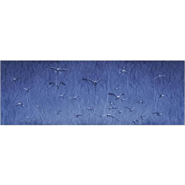 A Group of Birds Poster Print - 44 x 15 in. - Large