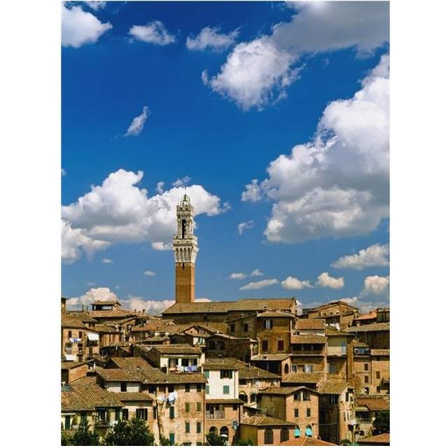 Torre De Mangia & Siena Skyline Poster Print, 13 x 18