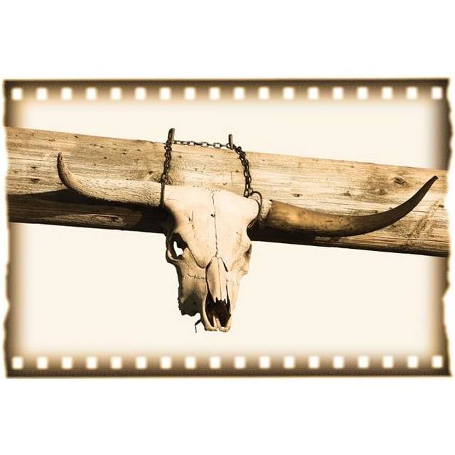 Longhorn Cow Skull Poster Print by Carson Ganci, 17 x 11