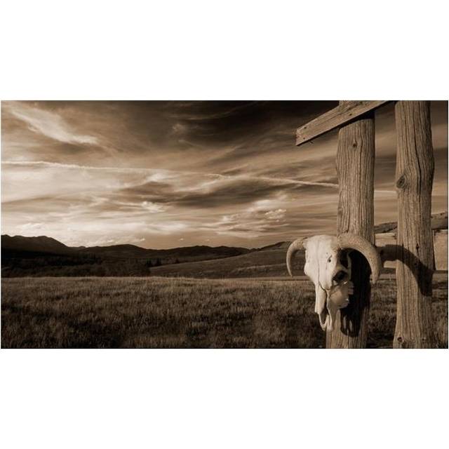 Cattle Skull Hanging on Ranchers Fence Poster Print - 18 x 10 in.