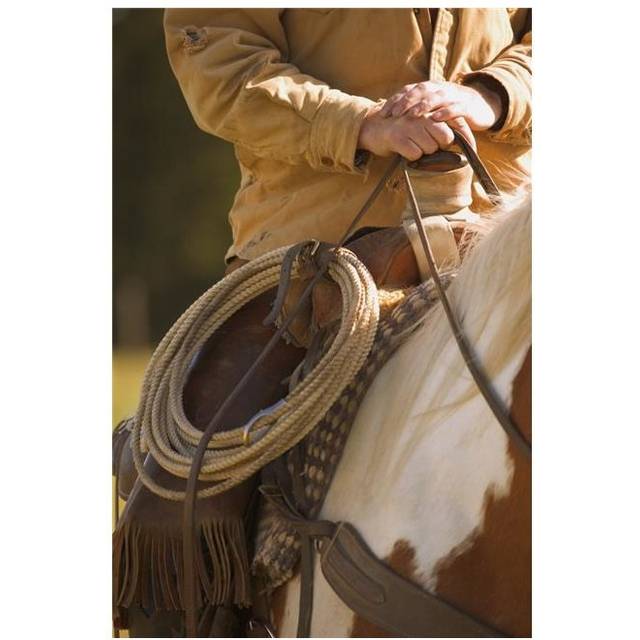 Cowboy & Lasso Poster Print by Carson Ganci, 22 x 34 - Large